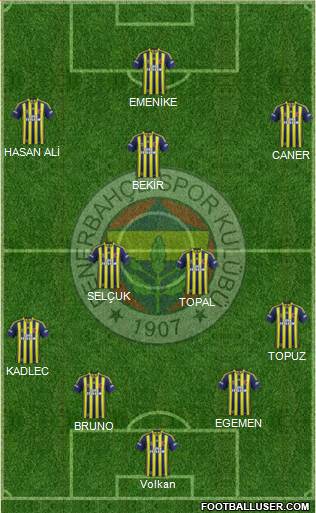 Fenerbahçe SK Formation 2015
