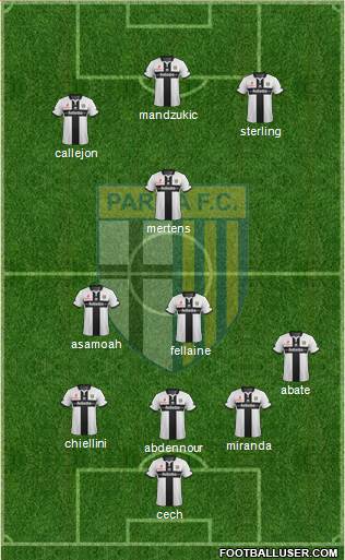 Parma Formation 2015
