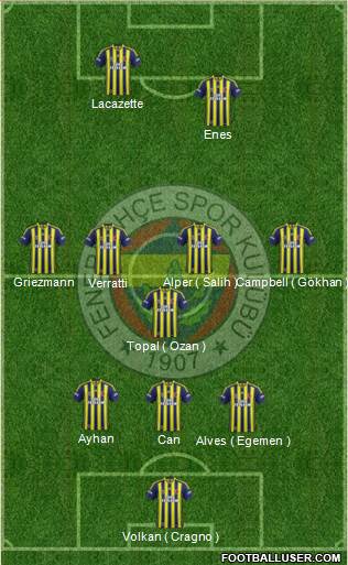 Fenerbahçe SK Formation 2015