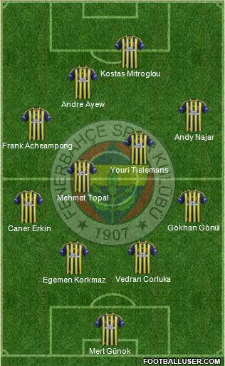 Fenerbahçe SK Formation 2015