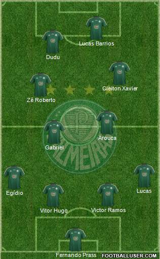 SE Palmeiras Formation 2015