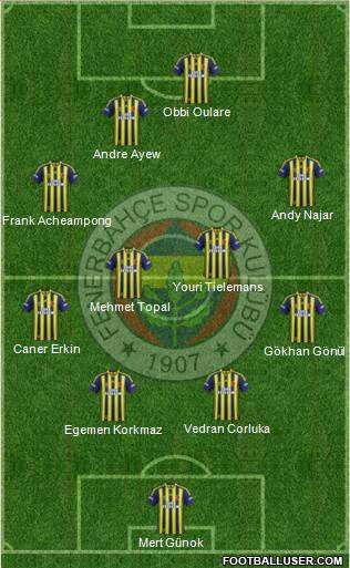 Fenerbahçe SK Formation 2015