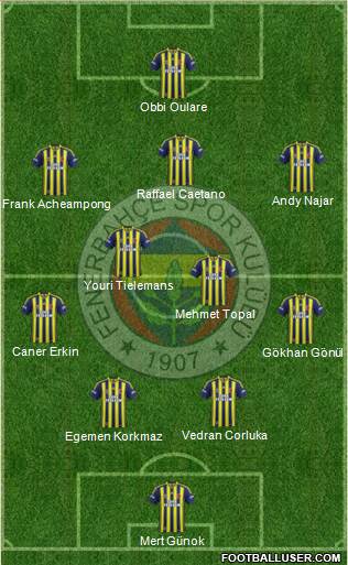 Fenerbahçe SK Formation 2015