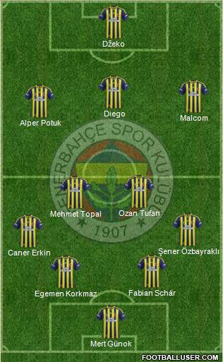 Fenerbahçe SK Formation 2015