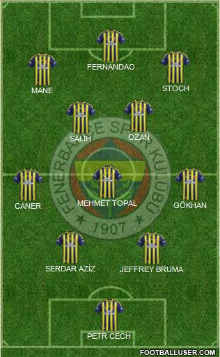 Fenerbahçe SK Formation 2015