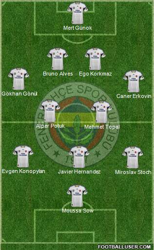 Fenerbahçe SK Formation 2015