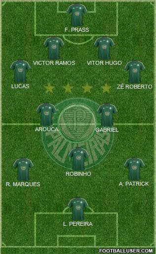 SE Palmeiras Formation 2015