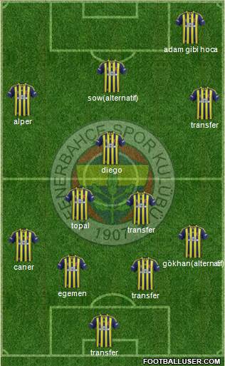 Fenerbahçe SK Formation 2015