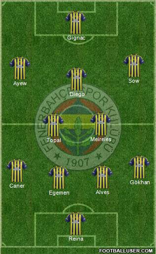 Fenerbahçe SK Formation 2015