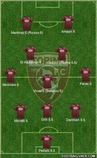 Torino Formation 2015