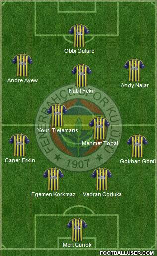 Fenerbahçe SK Formation 2015