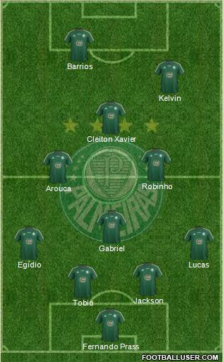 SE Palmeiras Formation 2015