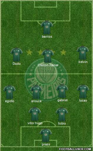 SE Palmeiras Formation 2015