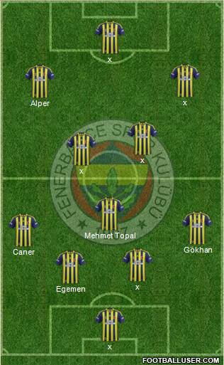 Fenerbahçe SK Formation 2015