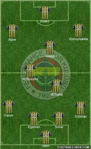 Fenerbahçe SK Formation 2015