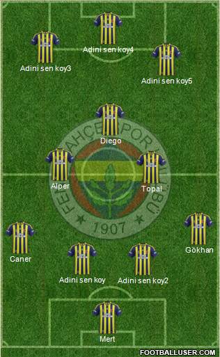 Fenerbahçe SK Formation 2015