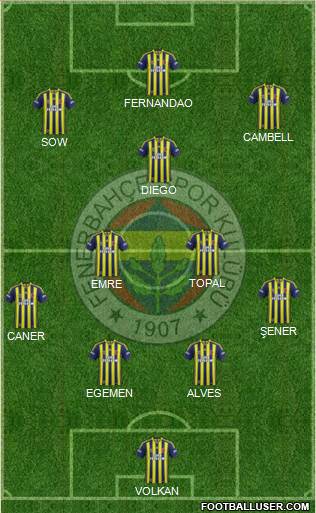 Fenerbahçe SK Formation 2015