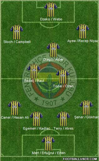 Fenerbahçe SK Formation 2015