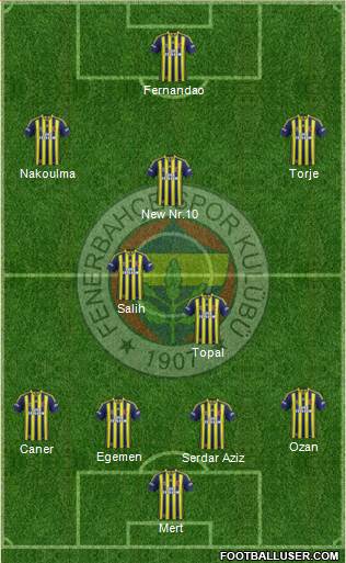 Fenerbahçe SK Formation 2015