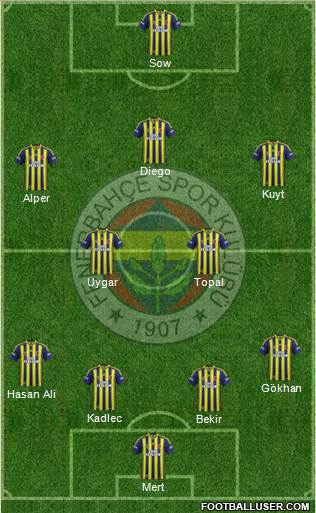 Fenerbahçe SK Formation 2015