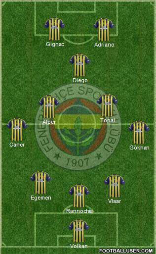 Fenerbahçe SK Formation 2015
