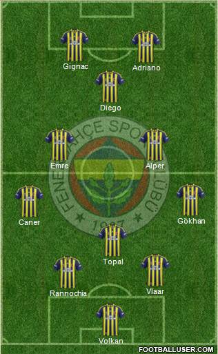 Fenerbahçe SK Formation 2015