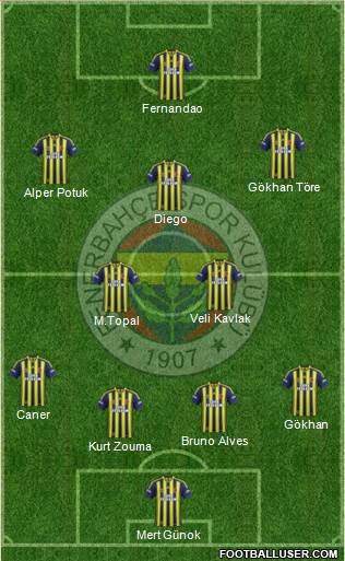 Fenerbahçe SK Formation 2015