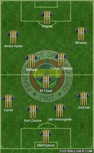 Fenerbahçe SK Formation 2015