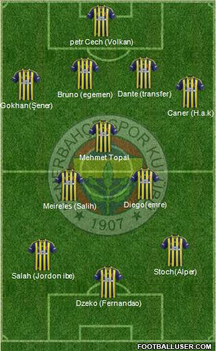 Fenerbahçe SK Formation 2015