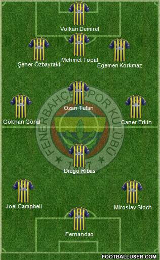 Fenerbahçe SK Formation 2015