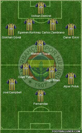 Fenerbahçe SK Formation 2015