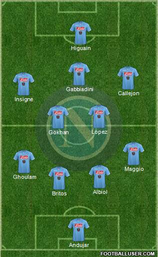 Napoli Formation 2015