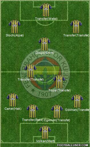 Fenerbahçe SK Formation 2015