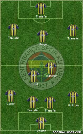 Fenerbahçe SK Formation 2015