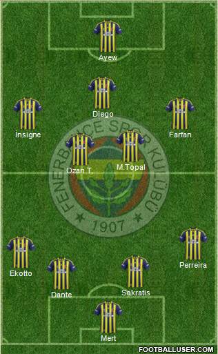 Fenerbahçe SK Formation 2015