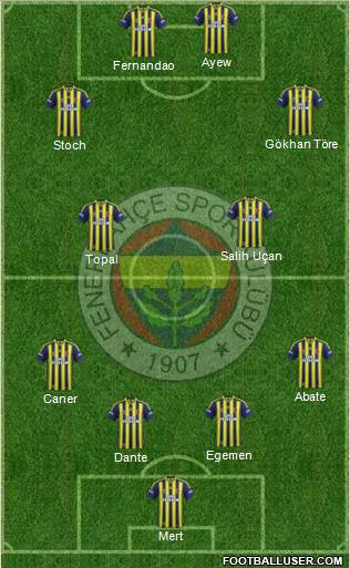 Fenerbahçe SK Formation 2015
