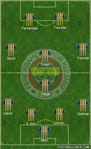 Fenerbahçe SK Formation 2015