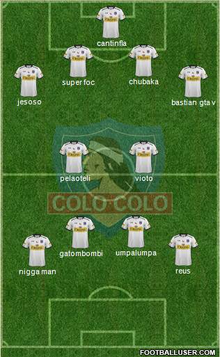 CSD Colo Colo Formation 2015