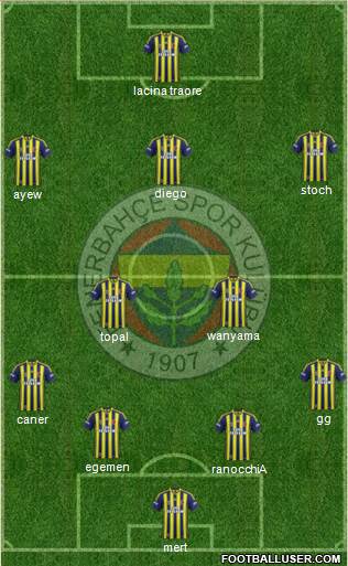 Fenerbahçe SK Formation 2015