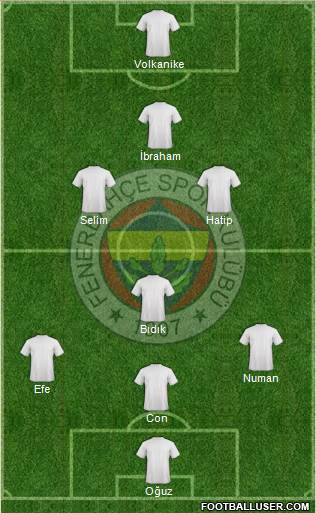 Fenerbahçe SK Formation 2015