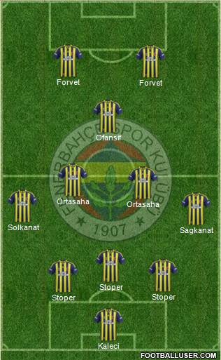 Fenerbahçe SK Formation 2015