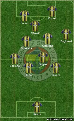 Fenerbahçe SK Formation 2015