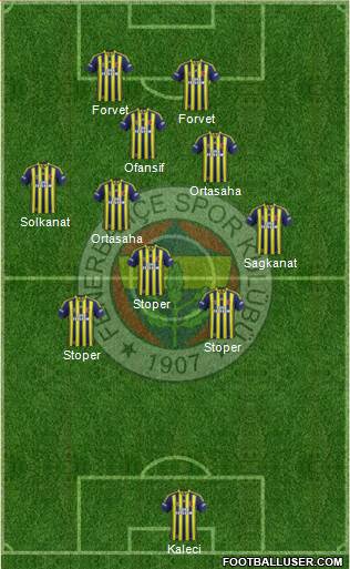 Fenerbahçe SK Formation 2015