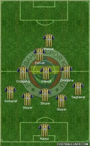 Fenerbahçe SK Formation 2015