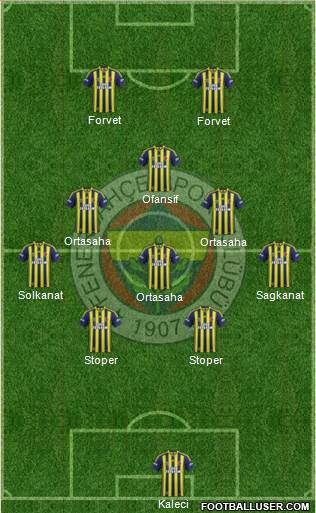 Fenerbahçe SK Formation 2015