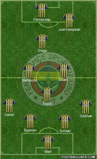 Fenerbahçe SK Formation 2015