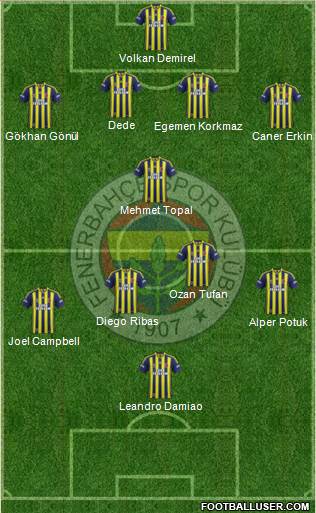 Fenerbahçe SK Formation 2015
