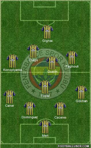 Fenerbahçe SK Formation 2015
