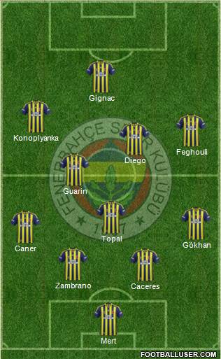 Fenerbahçe SK Formation 2015