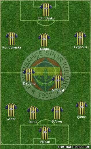 Fenerbahçe SK Formation 2015